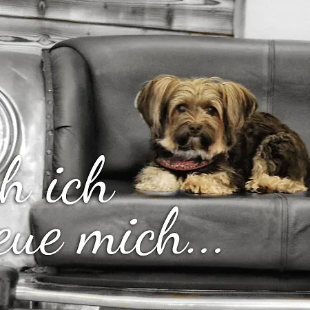 Voetter's In Am Kitzsteinhorn - Skibus Direkt 4* Kaprun