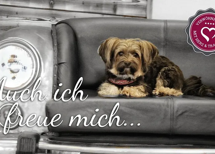 Voetter's In Am Kitzsteinhorn - Skibus Direkt 4* Kaprun